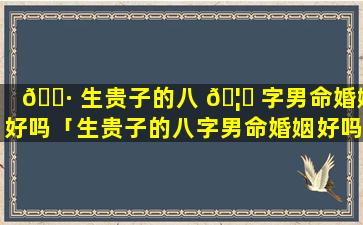 🕷 生贵子的八 🦟 字男命婚姻好吗「生贵子的八字男命婚姻好吗知乎」